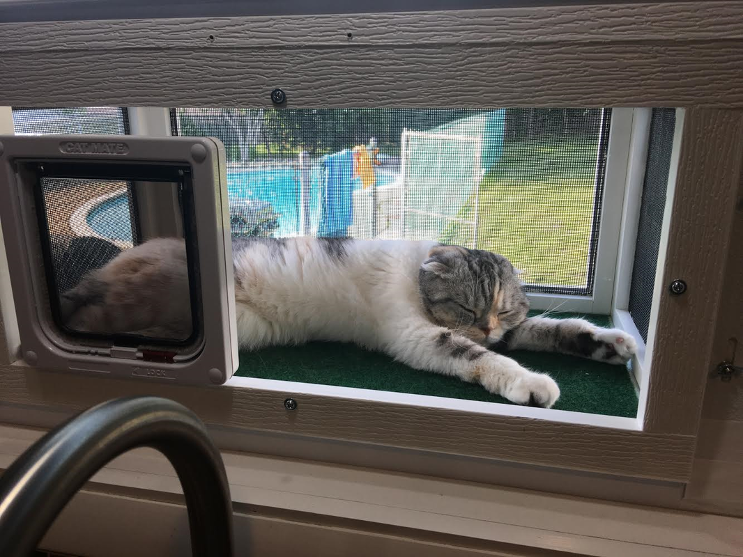 cat window cage